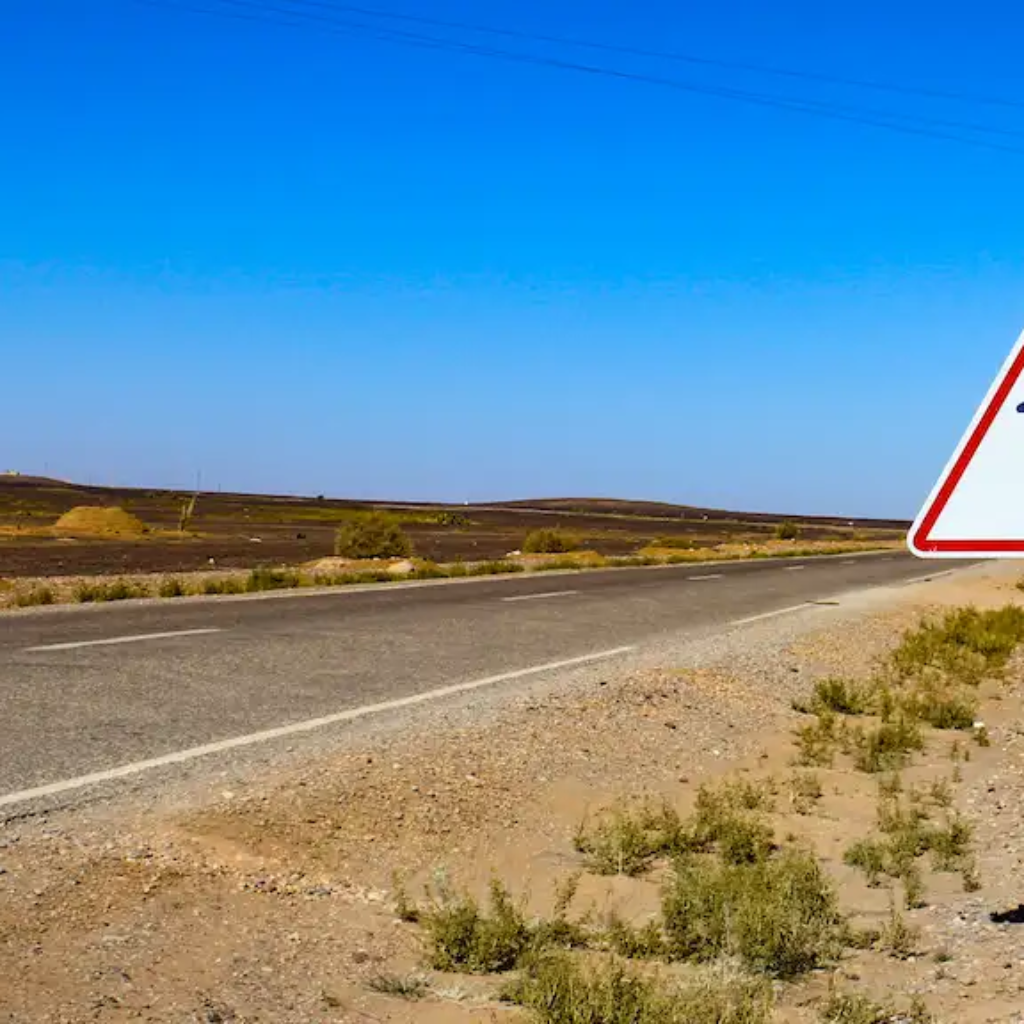 Guidare in Marocco - tutto quello che devi sapere